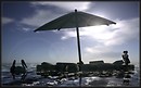 tricolore_007