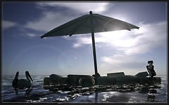 tricolore_007