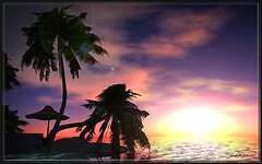 tricolore_028