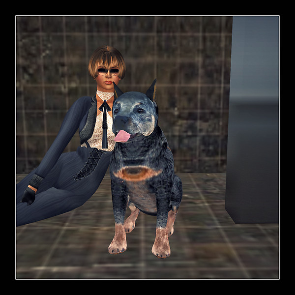 Quintessence~Bark Aabye Photo Gallery~