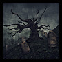 @Alchemy Immortalis