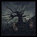 @Alchemy Immortalis