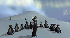 Zulora and penguins :)