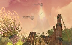 Aion - Fish in the sky!