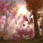 Aion - Sunlight through the trees!