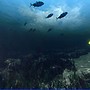 Blue Mars Underwater