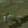 Aion0078