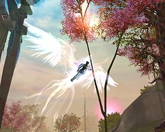 Aion0077