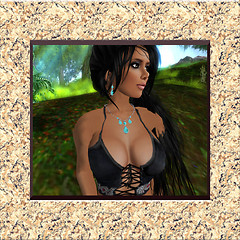 Native Picture