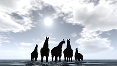 Gathering