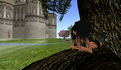 Snapshot_002
