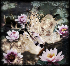 She looks like Ophelia...