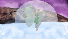 Lost in a Bubble