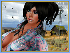 On the Farm