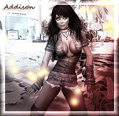 AMP HOSTESS Addison