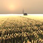 Harvest Time