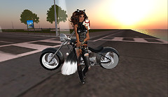 Snapshot_003