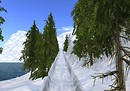 Bobsled Run - Tahoa Mountain Ski Resort
