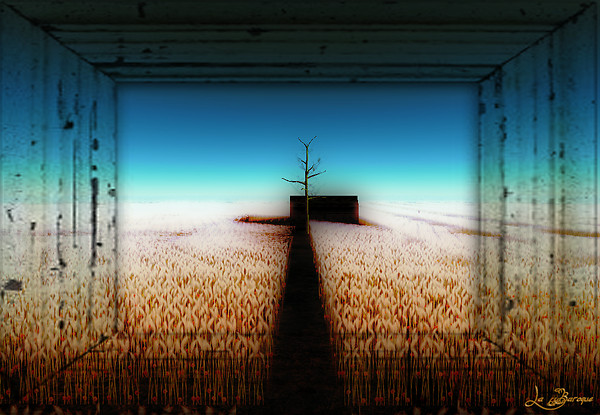 Nell'oceano di grano