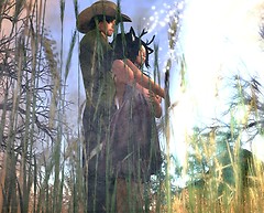 ...Nothing unusual...Nothing strange...Then...