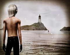 Searching for an answer