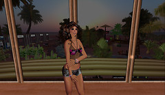 Snapshot_001