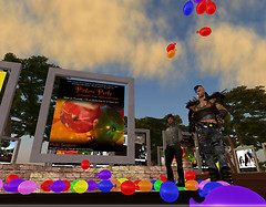 Picture Party at Orange Island