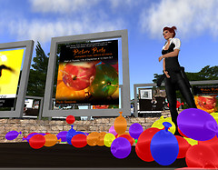 Picture Party at Orange Island