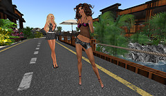 Snapshot_004