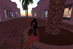 Sitting Palm Trees
