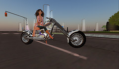 Snapshot_005