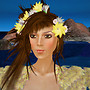Frangipani at Las Islas