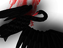 Black Swan_020