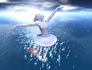 Black Swan_007b