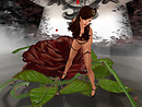 meadow-factory-0919_009