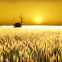 September Sun