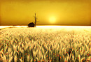 September Sun