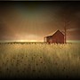 DARK SIN
