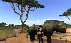slafrica4