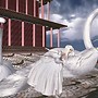 Swans [RMB City Photo Contest - Synthetic Virtual]