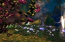 fairyforest_002