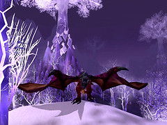 Violet Proto-Drake 3