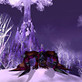 Violet Proto-Drake 1