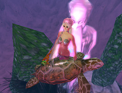 Ko plays with Sea Turtle near Energy Statute