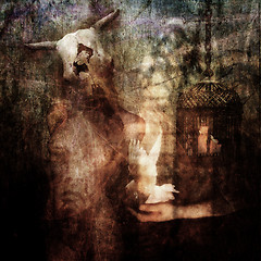 My True Love, - False Prophet