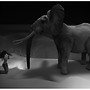 Devotion