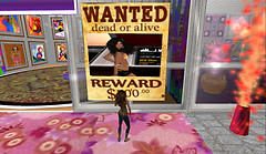 Snapshot_004