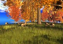 SL New England Deer