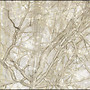 limbs/lace