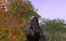 Aion3